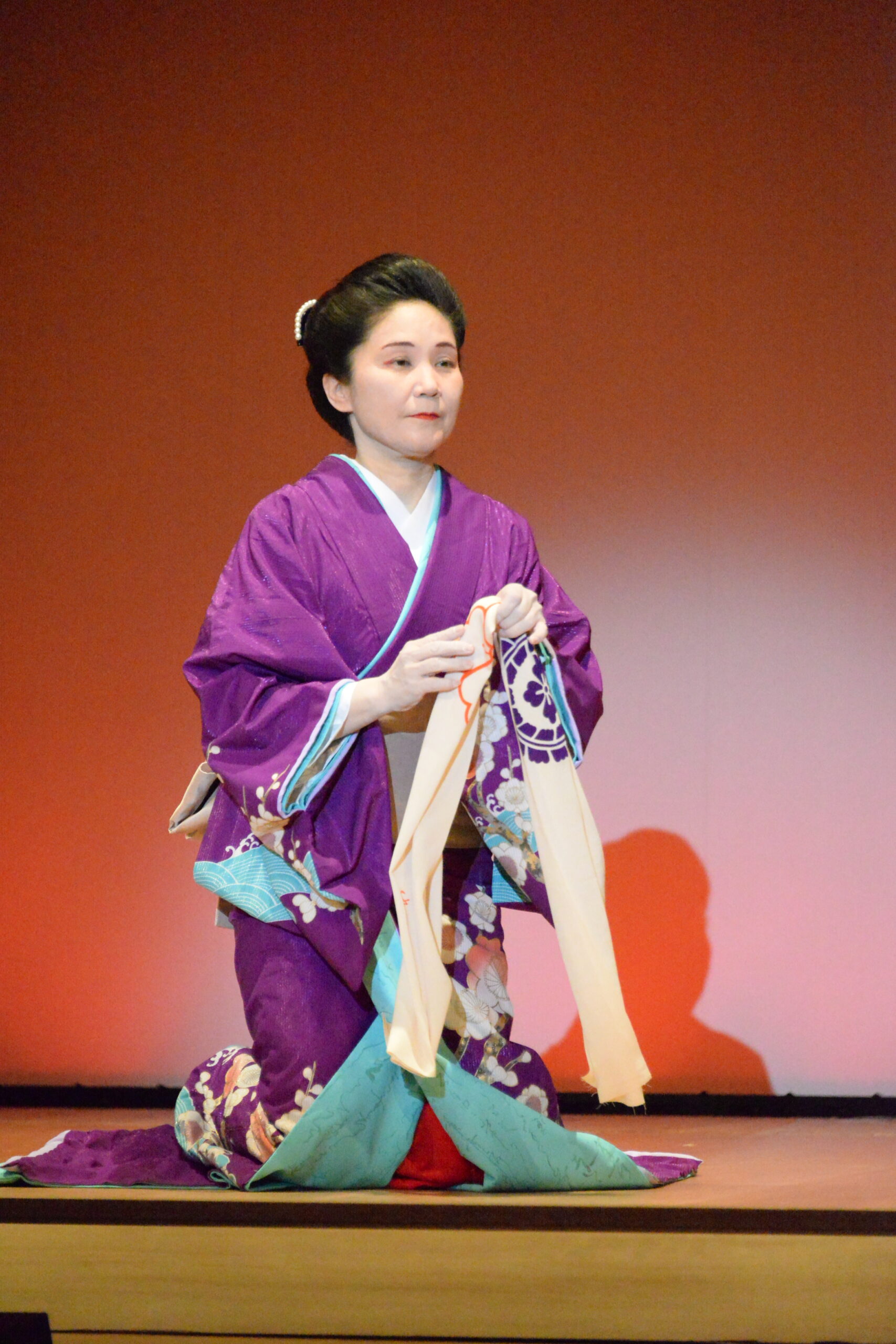 お引きずり　色打掛　お着物　フキ　衣装　舞台　日本舞踊　大衆劇場素材不明